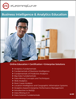 business analytics catalog PDF