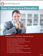 Data Governance catalog PDF